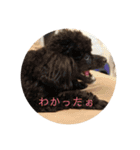 こたゆきるちあ（個別スタンプ：16）
