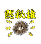 法律家のハリネズミ いっしん君（個別スタンプ：23）