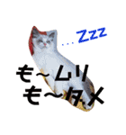 LPs2 2（個別スタンプ：1）