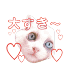 LPs2 2（個別スタンプ：4）