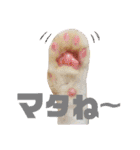 LPs2 2（個別スタンプ：5）