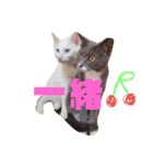 LPs2 2（個別スタンプ：8）