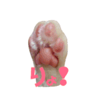 LPs2 2（個別スタンプ：10）