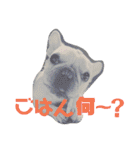 LPs2 2（個別スタンプ：11）