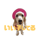 LPs2 2（個別スタンプ：14）