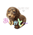 LPs2 2（個別スタンプ：19）