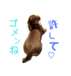 LPs2 2（個別スタンプ：22）