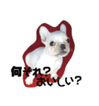 LPs2 2（個別スタンプ：25）