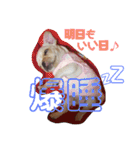 LPs2 2（個別スタンプ：26）
