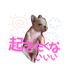 LPs2 2（個別スタンプ：32）