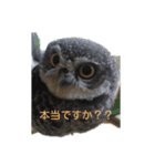 たろちん。（個別スタンプ：4）