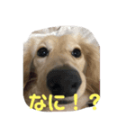 ナノです。よろしくどうぞ〜（個別スタンプ：4）