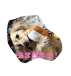 ナノです。よろしくどうぞ〜（個別スタンプ：5）