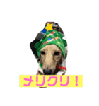 ナノです。よろしくどうぞ〜（個別スタンプ：6）