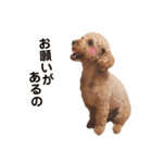 ちょっちゃん2（個別スタンプ：7）