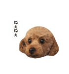 ちょっちゃん2（個別スタンプ：11）