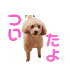ちょっちゃん2（個別スタンプ：15）