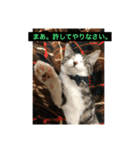 麦にゃん2（個別スタンプ：2）