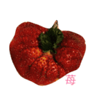 食べ物リスト（個別スタンプ：4）