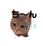 くうみう兄妹◌*⃝̥◍♡（個別スタンプ：13）