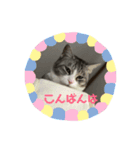 かえで ＆ くるみ（個別スタンプ：4）
