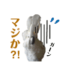 オウムのチョッパー（個別スタンプ：1）