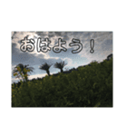 龗瑠巍特性！（個別スタンプ：1）