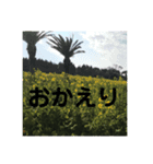 龗瑠巍特性！（個別スタンプ：6）