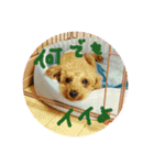 ラガジ（個別スタンプ：2）