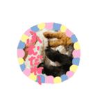 ラガジ（個別スタンプ：12）