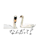 動物たちが（個別スタンプ：10）