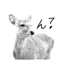 動物たちが（個別スタンプ：11）