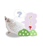 ハリネズミさんズ.1（個別スタンプ：7）