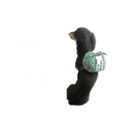 ミニチュアダックス黒タンムーちゃん 2（個別スタンプ：9）