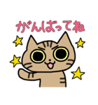 ツンデレねこちゃんの日常（個別スタンプ：8）