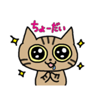 ツンデレねこちゃんの日常（個別スタンプ：17）