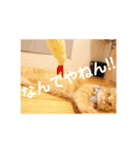 Marble CAFE保護猫たちの日常スタンプです（個別スタンプ：27）