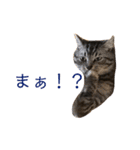 ぼく、ふくまる！（個別スタンプ：10）