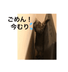 ぼく、ふくまる！（個別スタンプ：14）