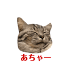 ぼく、ふくまる！（個別スタンプ：16）
