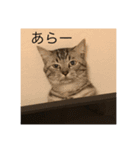 ぼく、ふくまる！（個別スタンプ：23）