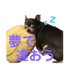 まっそのコロ助（個別スタンプ：1）