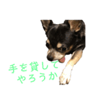 まっそのコロ助（個別スタンプ：2）