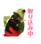 まっそのコロ助（個別スタンプ：4）
