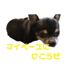 まっそのコロ助（個別スタンプ：5）