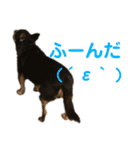 まっそのコロ助（個別スタンプ：6）