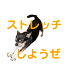 まっそのコロ助（個別スタンプ：8）