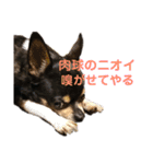 まっそのコロ助（個別スタンプ：10）