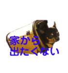 まっそのコロ助（個別スタンプ：11）