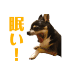 まっそのコロ助（個別スタンプ：13）